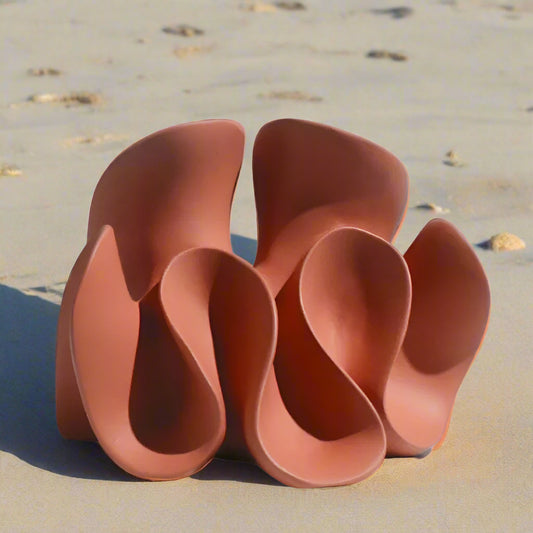 Wavy Anemone in russet. Sitting on sand in sunlight. Shade to the left